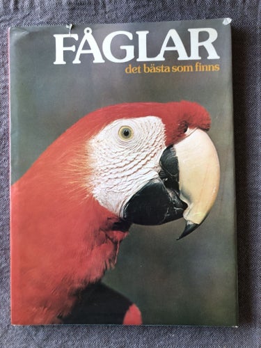 FÅGLAR det bästa som finns (1976)