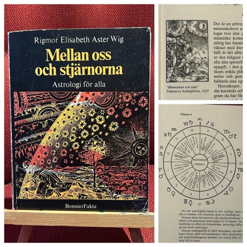 Mellan oss och stjärnorna av Rigmor Elisabet Aster Wig