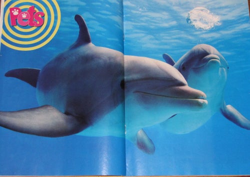 PETS djur tidning nr 7 djurtidning hund katt delfiner delfin affisch barn tonår