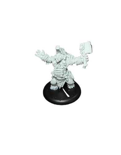 Warmachine Hordes Gatorman Boil Master & Spirit Cauldron