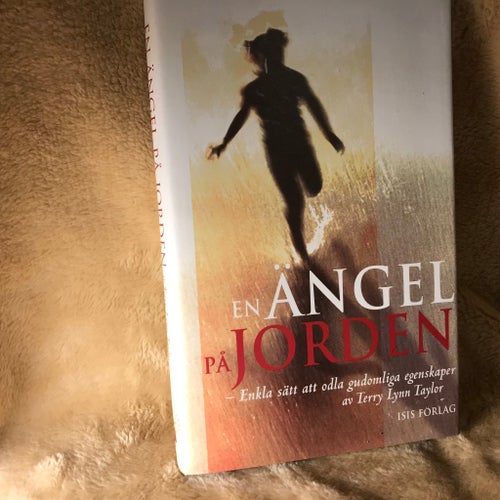 En Ängel på Jorden av Terry Lynn Taylor