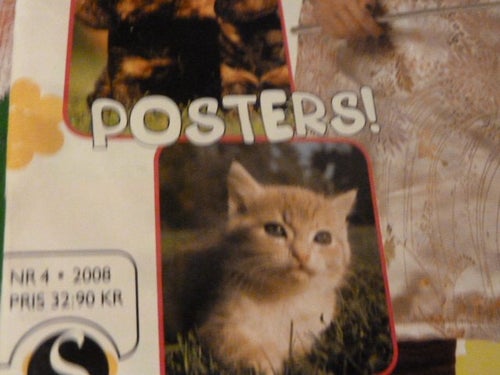 TIDNING, SAGOPRINSESSAN, NR 4 - 2008