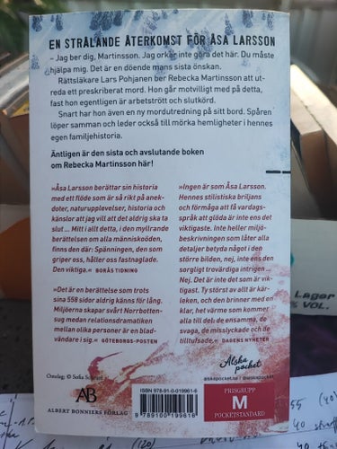 Fädernas missgärningar av Åsa Larsson, 2021