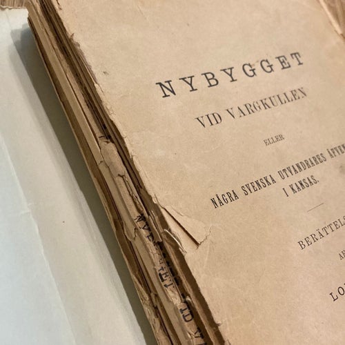 Nybygget vid Vargkullen eller Några svenska utvandrares äfventyr i Kansas av