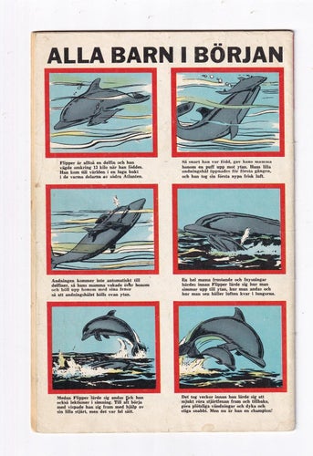 Flipper Nr 2