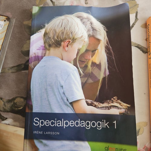 Specialpedagogik 1 av Iréne Larsson, 2013
