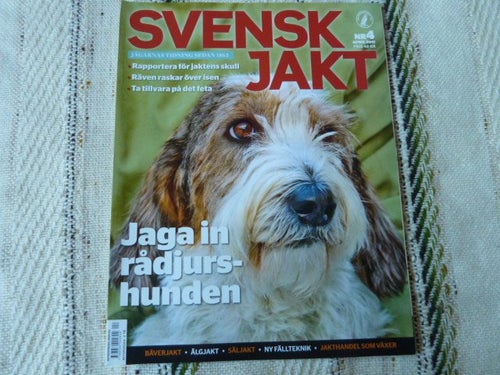 SVENSK JAKT, 2011 NR 4, JAGA IN RÅDJURSHUNDEN, TIDNING