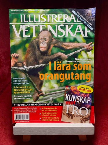 Illustrerad vetenskap - I lära som orangutang (N18/2007)