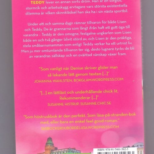 En tillfällig lösning av Denise Rudberg och Hugo Rehnberg