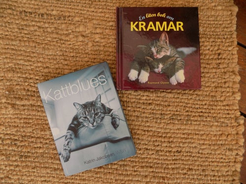 Kattblues - Katrin Jakobsen & En liten bok om Kram - Raymond Gynne