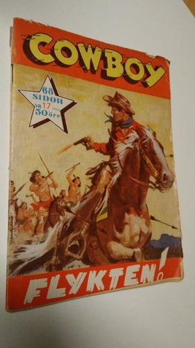 Cowboy 1954 nr 17