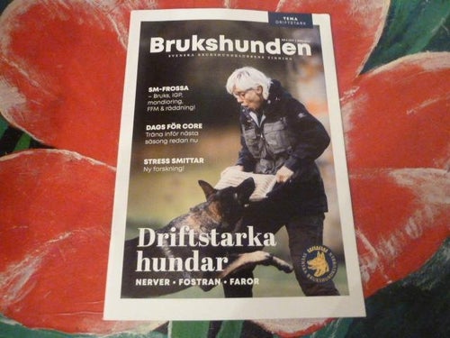 BRUKSHUNDEN, NR 5 - 2019, TIDNING