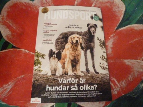 HUNDSPORT, NR 5 - 2019, TIDNING