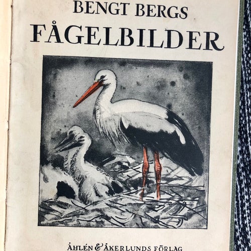 Bengt Bergs Fågelbilder – 1921 – Vintage fågelbok