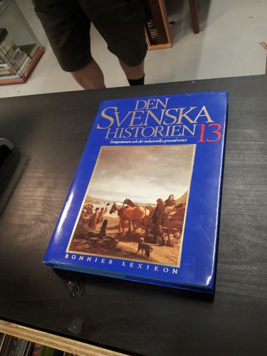 DEN SVENSKA HISTORIEN 13