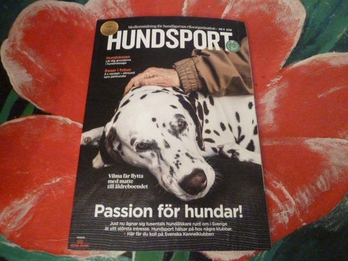 HUNDSPORT, NR 8 -2018, TIDNING