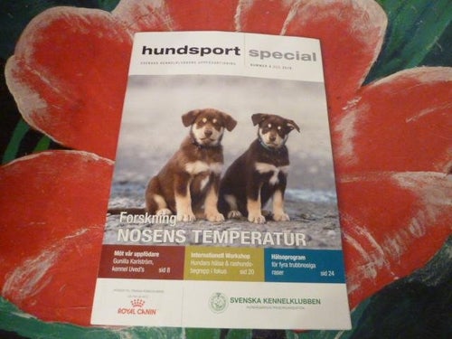 HUNDSPORT, SPECIAL, NR 4 - 2019, TIDNING