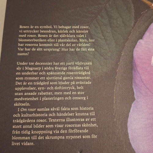 Om rosor av Forsberg, Björn (inb) 2023 rikt illustrerad