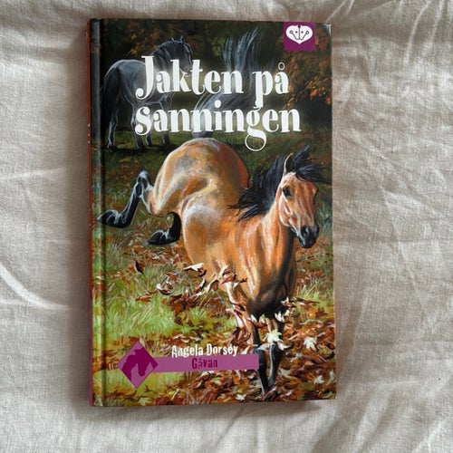 Jakten på Sanningen av Angela Dorsey