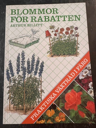 Blommor för rabatten