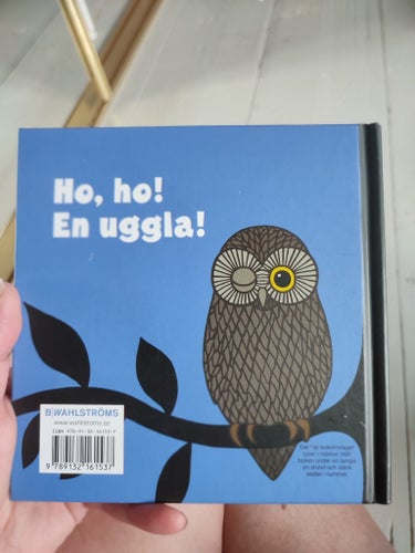 Blink, blink! Vad är det? av Linda Fridh & Pernilla Lonhage, 2013