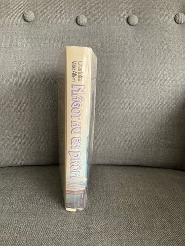 Något av en dröm av Charlotte Vale Allen, 1987