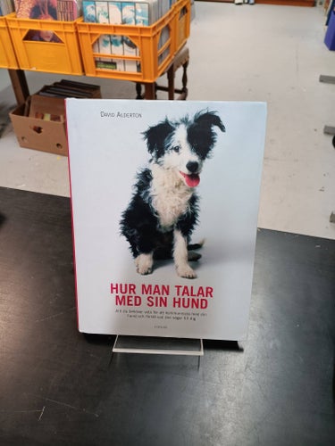 HUR MAN TALAR MED SIN HUND