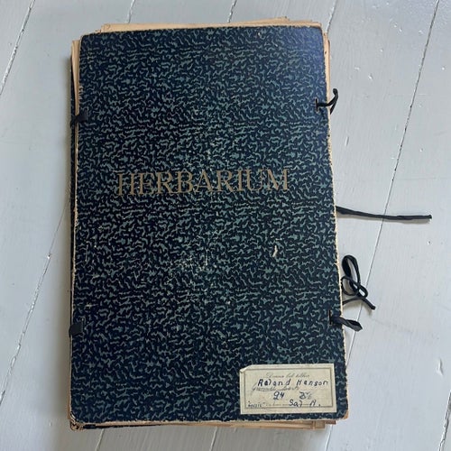 Äldre antikt Herbarium, pressade torkade växter botanik växtherbarium samling