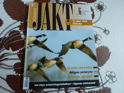 SVENSK JAKT, 2007 NR 6, GÅSJAKT, TIDNING