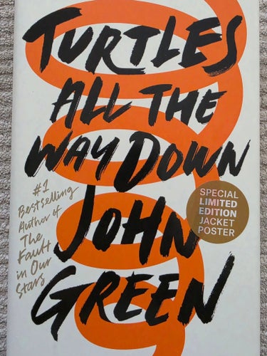 Turtles All the Way Down - John Green - Inbunden