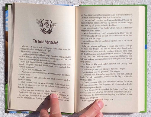 Vilket hästjobb! (ungdomsbok, hästar)
