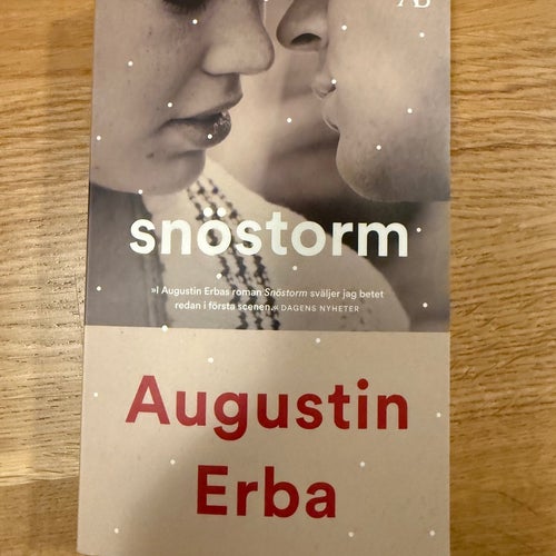 Snöstorm av Augustin Erba, 2020