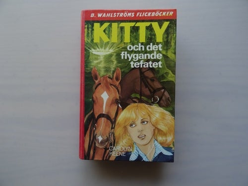 Kitty och det flygande tefatet av Carolyn Keene, 1981