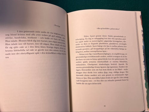 Anima av Birgitta Trotzig