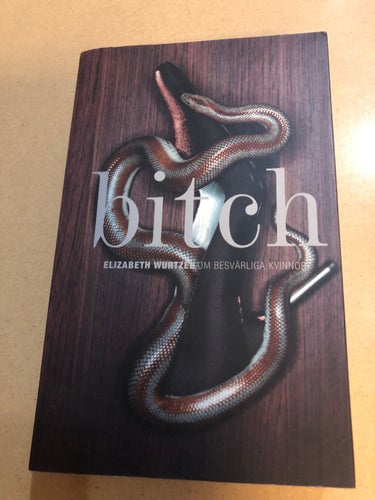 Bitch om besvärliga kvinnor / Wurtzel, Elizabeth