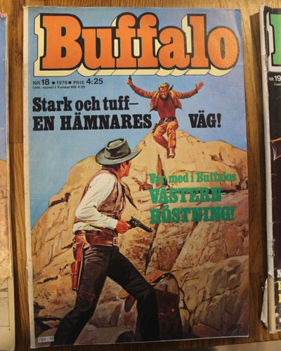 BUFFALO 1979 NR 18