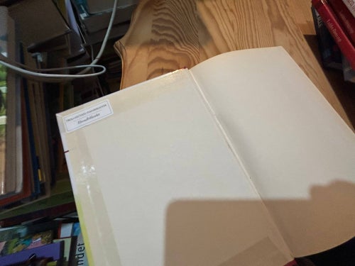 Ludde blir en lirare av Viveca Lärn, Bok, BM, Very Good plus