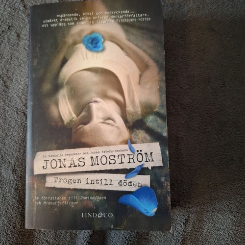 Trogen intill döden av Jonas Moström, 2013