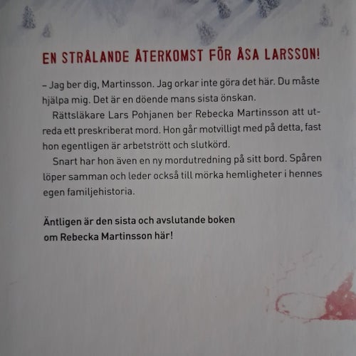 Åsa Larsson Fäderna missgärningar