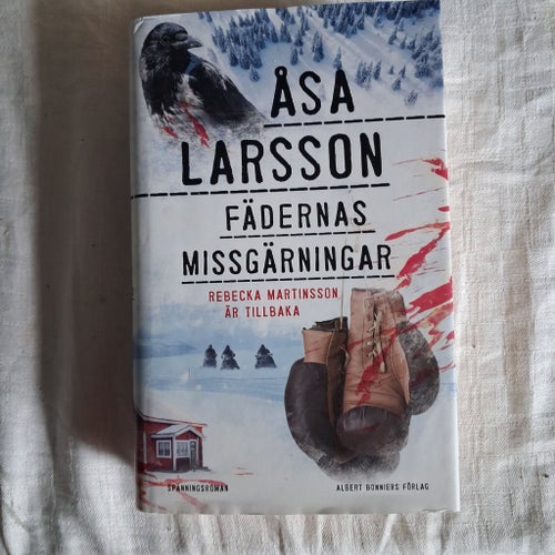 Åsa Larsson Fäderna missgärningar