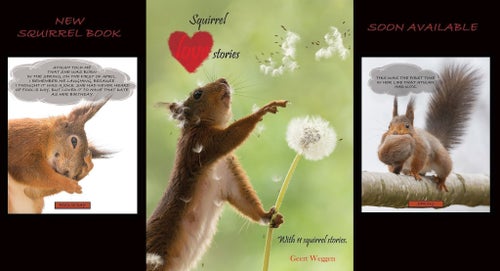 ny ekorre bok på engelska Squirrel love stories book