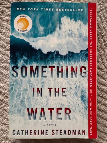 Something in the Water - Catherine Steadman - paperback