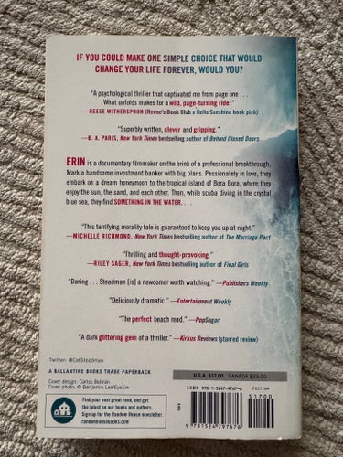 Something in the Water - Catherine Steadman - paperback