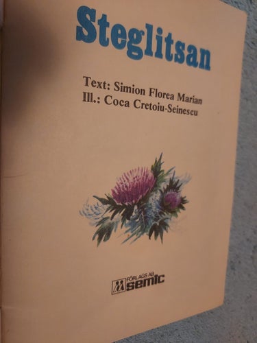 Häfte Steglitsan ca 1O,5 cm x ca 14 cm
