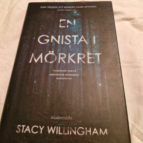 En gnista i mörkret - Stacy Willingham (Inbunden, Nyskick)