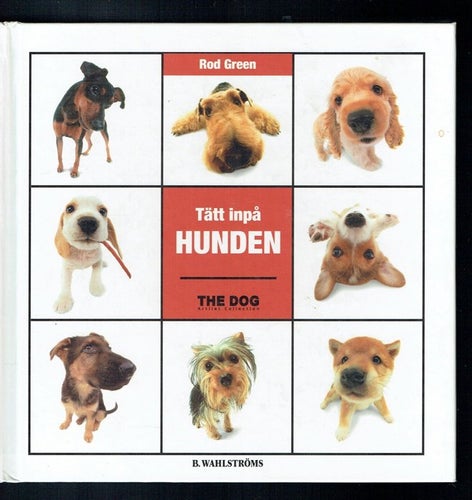 Tätt inpå hunden - Rod Green