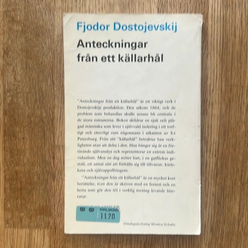 Anteckningar från ett källarhål - Fjodor Dostojevskij