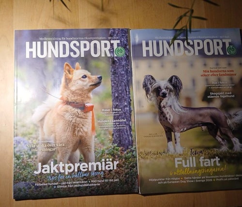 Hundsport nr 5 och 7 2025
