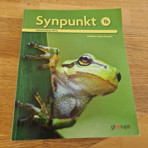 Synpunkt 1b av Anders Henriksson