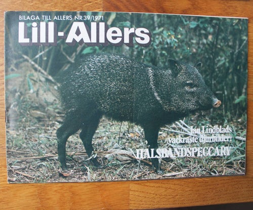 Lill-Allers bilagan veckotidning 1971 nr 39